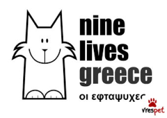 Ράτσα: Γάτα του Αιγαίου | Ηλικία: 7 μηνών | Φύλο: Αρσενικό | Αρ. Microchip: 981021212121212 | Περιοχή: Αττική